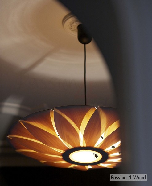 Bistro l' armagnac - Passion 4 Wood - Pendal lighting in wood in entrance - Lotus